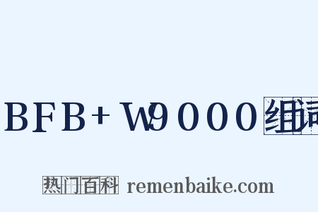BFB+W9000组词是什么意思的图片